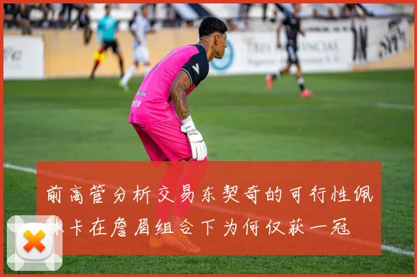 前高管分析交易东契奇的可行性佩林卡在詹眉组合下为何仅获一冠