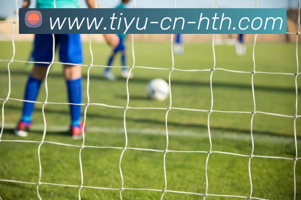 华体会体育发展历程